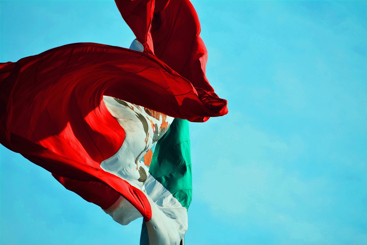 ░ MÉXICO SOMOS TODOS